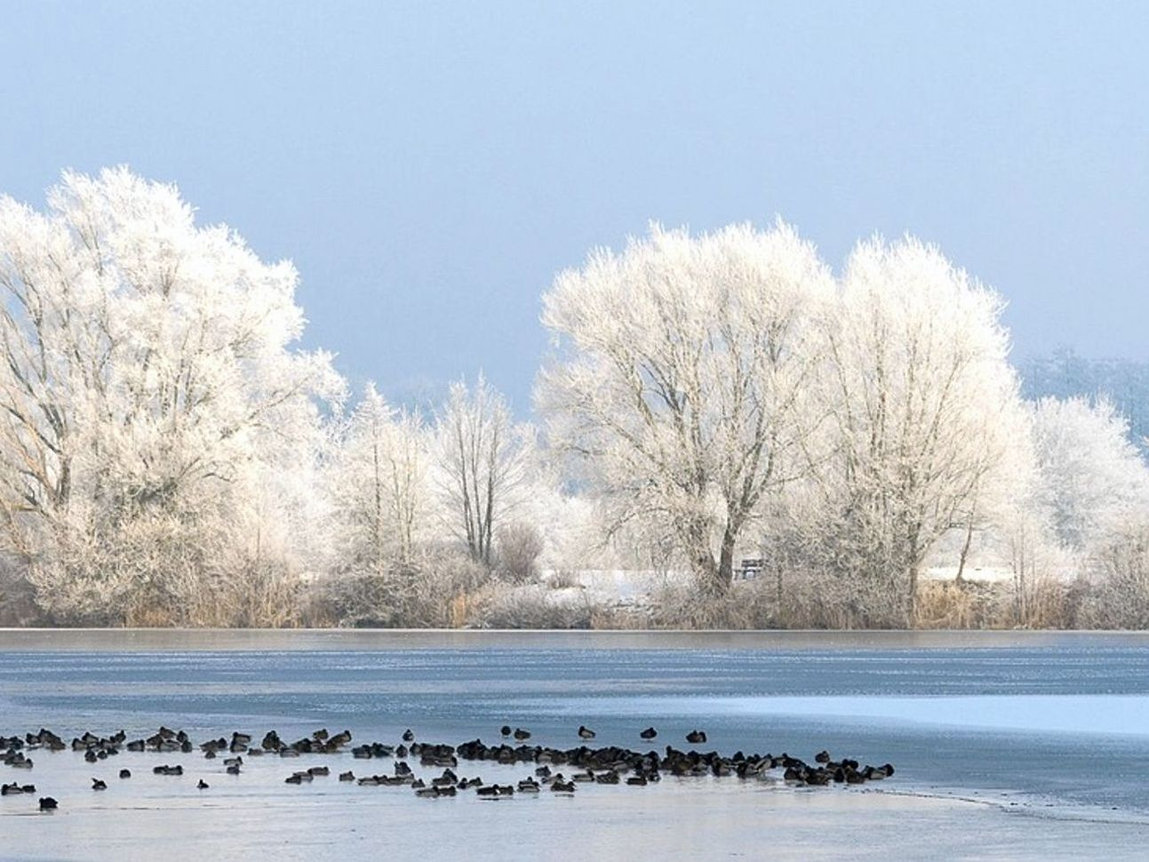 Un lago en las montañas bajo luz matinal