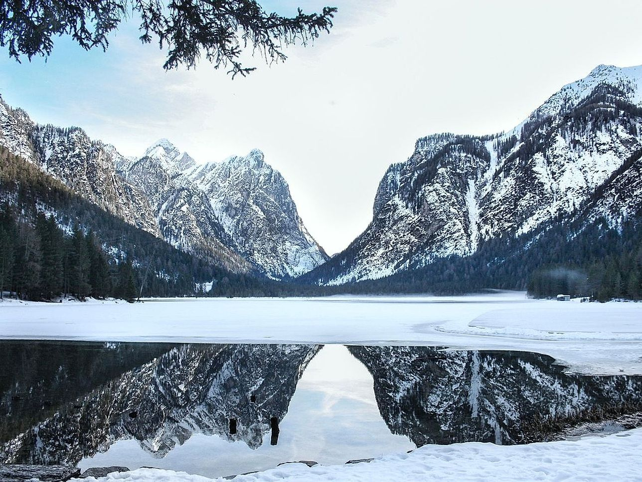 Una huella clara a través del bosque antiguo hacia la pesca en hielo